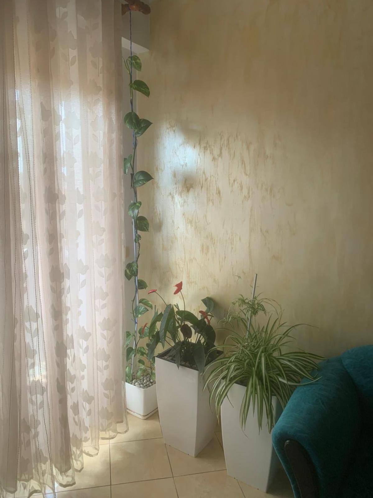 Guest House פייר מראה חיצוני תמונה